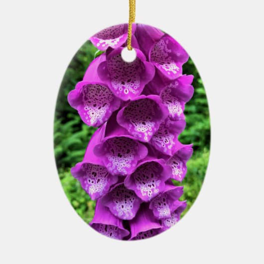 Foxglove Flowers, Oregon Keramisch Ornament (Voorkant)