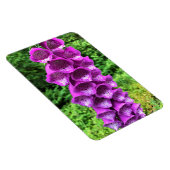 Foxglove Flowers, Oregon Magneet (Rechterzijde)