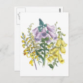  Foxglove-illustratie Briefkaart (Voorkant / Achterkant)
