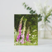 Foxhandschoenen Briefkaart (Staand voorkant)