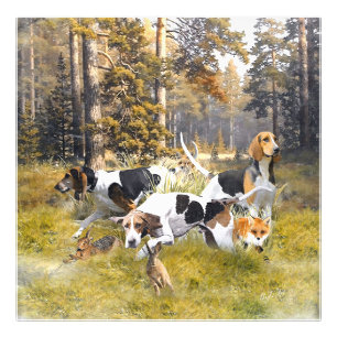 Foxhound Foto Afdruk