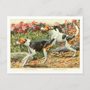 Foxhound Honden Ansichtkaart Briefkaart