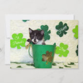 Foxi's St. Patrick's Day Cat/Kitten - Flat Kaart (Voorkant)
