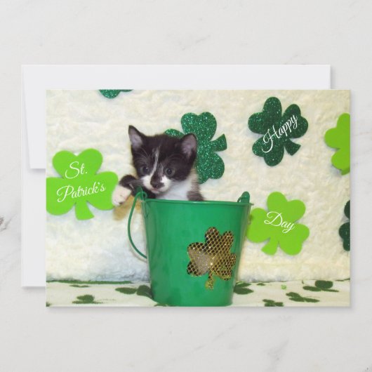Foxi's St. Patrick's Day Cat/Kitten - Flat Kaart (Voorkant)
