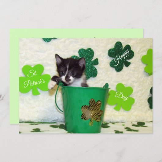 Foxi's St. Patrick's Day Cat/Kitten - Flat Kaart (Voorkant / Achterkant)