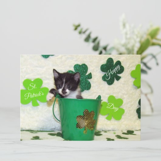 Foxi's St. Patrick's Day Cat/Kitten - Flat Kaart (Staand voorkant)