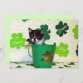 Foxi's St. Patrick's Day Chat/ Kitten - Carte Plat (Devant / Derrière)