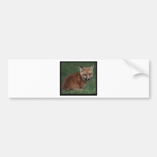 foxkit bumpersticker (Voorkant)