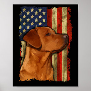 Foxred Labrador Retriever Amerikaanse Vlag Fox Red Poster