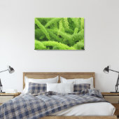 Foxtail Fern, Asparagus densiflorus myers Canvas Afdruk (Insitu (Slaapkamer))
