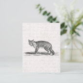  Foxy Fox Illustration - 1800's Foxes Briefkaart (Staand voorkant)
