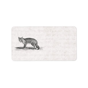  Foxy Fox Illustration - 1800's Foxes Etiket