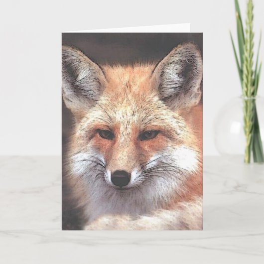 foxy kaart (Voorkant)