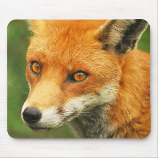 Foxy Lady Muismat