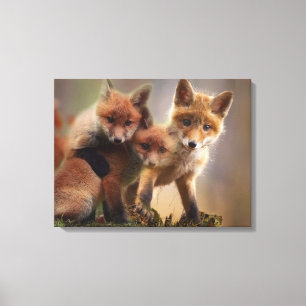 Foxy Triplets Canvas Afdruk