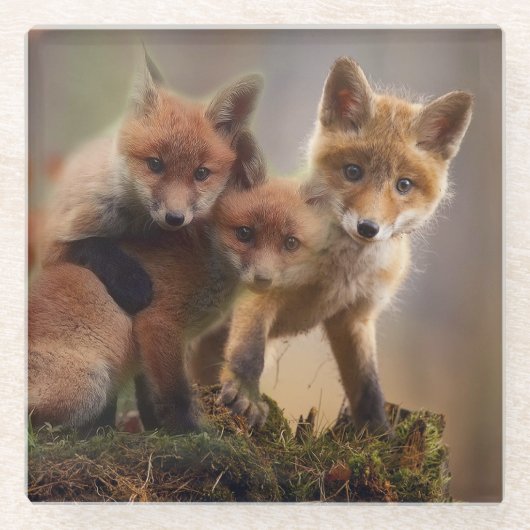 Foxy Triplets Glazen Onderzetter (Voorkant)
