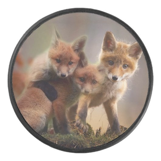 Foxy Triplets Hockey Puck (Voorkant)