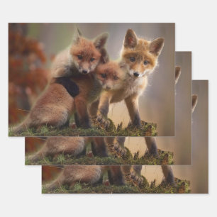 Foxy Triplets Inpakpapier Vel