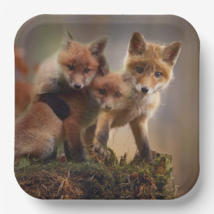 Foxy Triplets Papieren Bordje