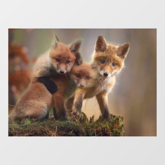 Foxy Triplets Raamsticker (Vel)
