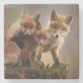 Foxy Triplets Stenen Onderzetter (Voorkant)