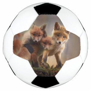 Foxy Triplets Voetbal