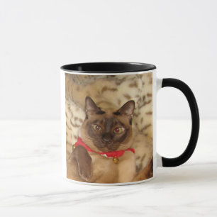 FPG Xmas Tonkinese 2 - Mok