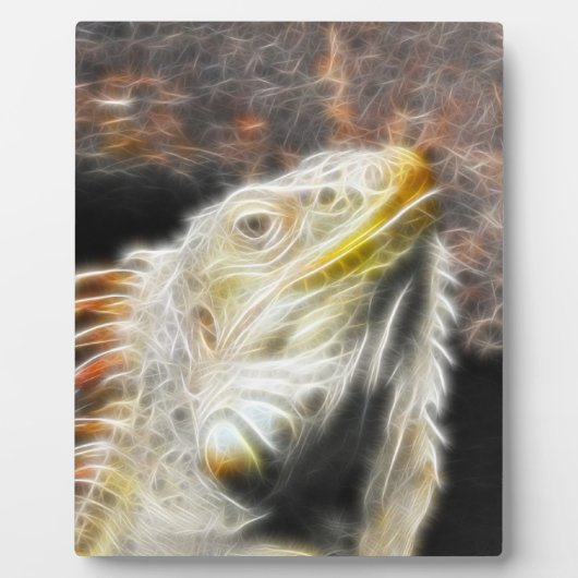 Fracguana Fotoplaat (Voorkant)