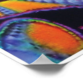 Fracking KC Afbeelding Poster (Hoek)