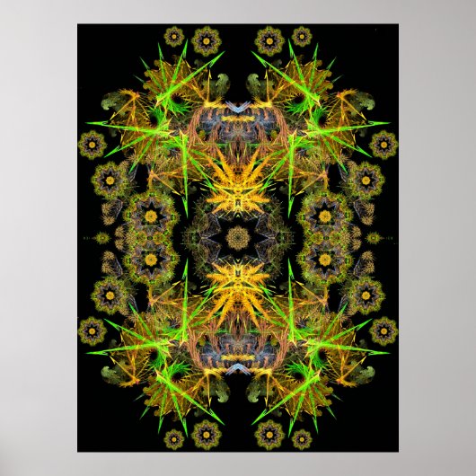 fracktalKan Poster (Voorkant)