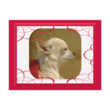 Fractal Chihuahua Briefkaart