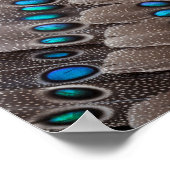 Fractal Design Pheasant Feather Poster (Hoek)