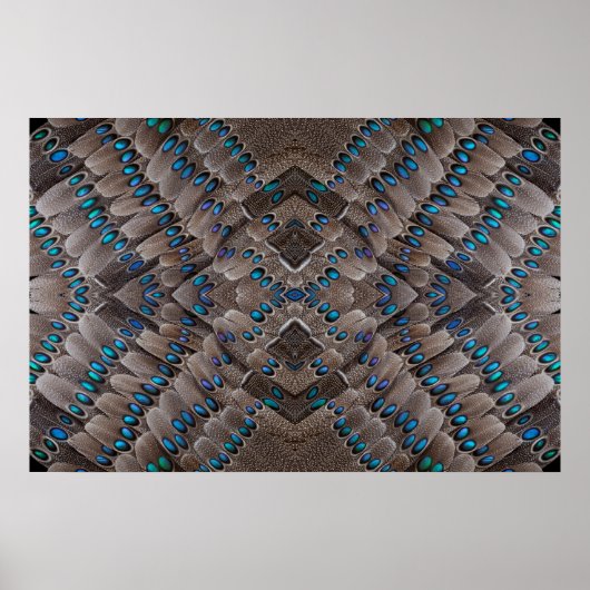 Fractal Design Pheasant Feather Poster (Voorkant)