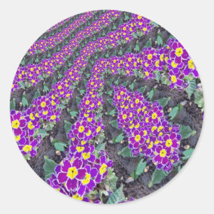 Fractal Flowers Ronde Sticker