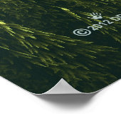 Fractal Forest Poster (Hoek)