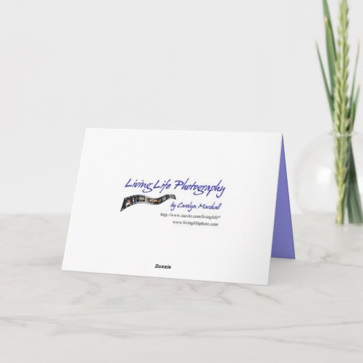 Fractal Happy Birthday Kaart (Achterkant)