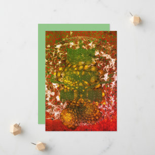 Fractal Patronen Aankondiging