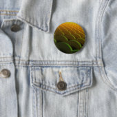 Fractal Scales Button (In situ)