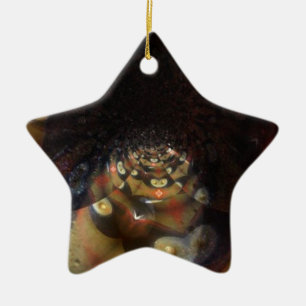 Fractal Uw Aangepaste Ster Ornament