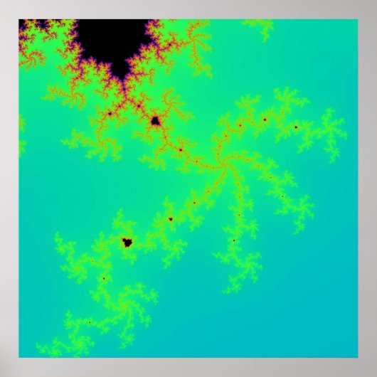 Fractal Wonder Poster (Voorkant)