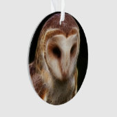 Fractale masquée de hibou (devant)