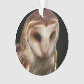 Fractale masquée de hibou (devant)