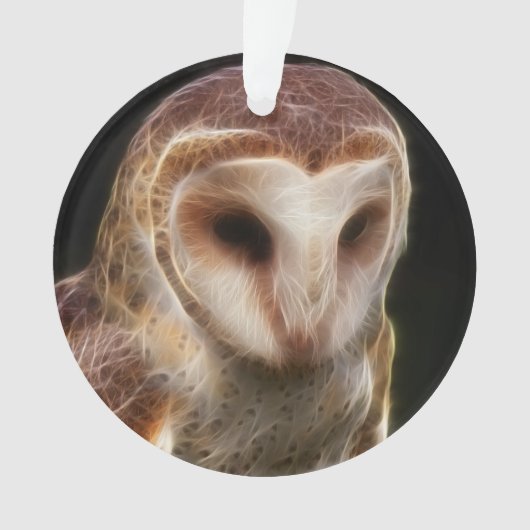 Fractale masquée de hibou (devant)