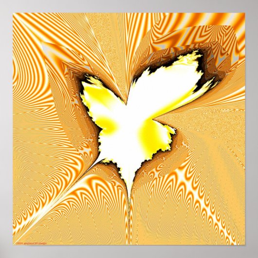 Fractale projectie 1,4 g poster (Voorkant)