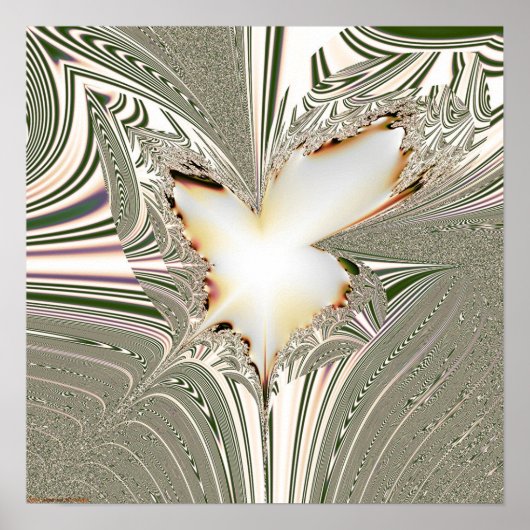 Fractale projectie 1.5.1 poster (Voorkant)