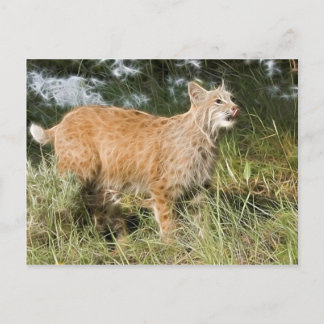 Fractalius Bobcat Briefkaart