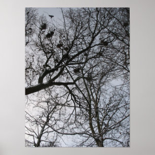Fractals in de Natuur: Fotokunst van Posters