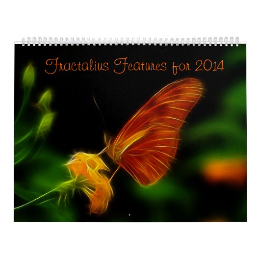 Fractialiuskenmerken voor 2014 kalender (Hoes)