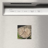 Fractionner les Magnets de souche de coeur (In Situ (Lave-vaisselle))