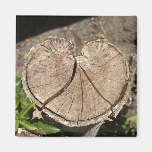 Fractionner les Magnets de souche de coeur (Devant)